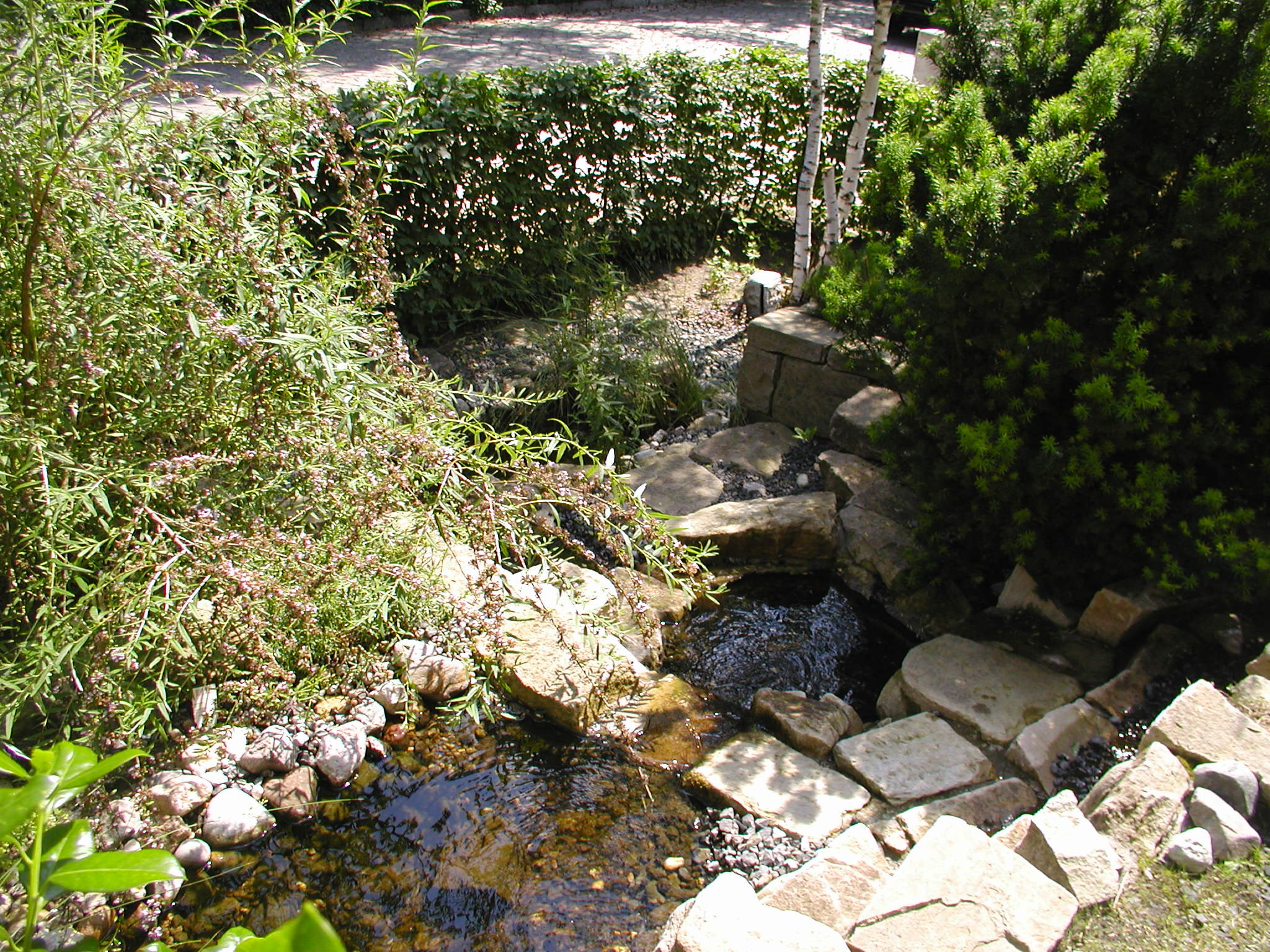 Bachlauf und Wasserfall in Berlin Schlachtensee