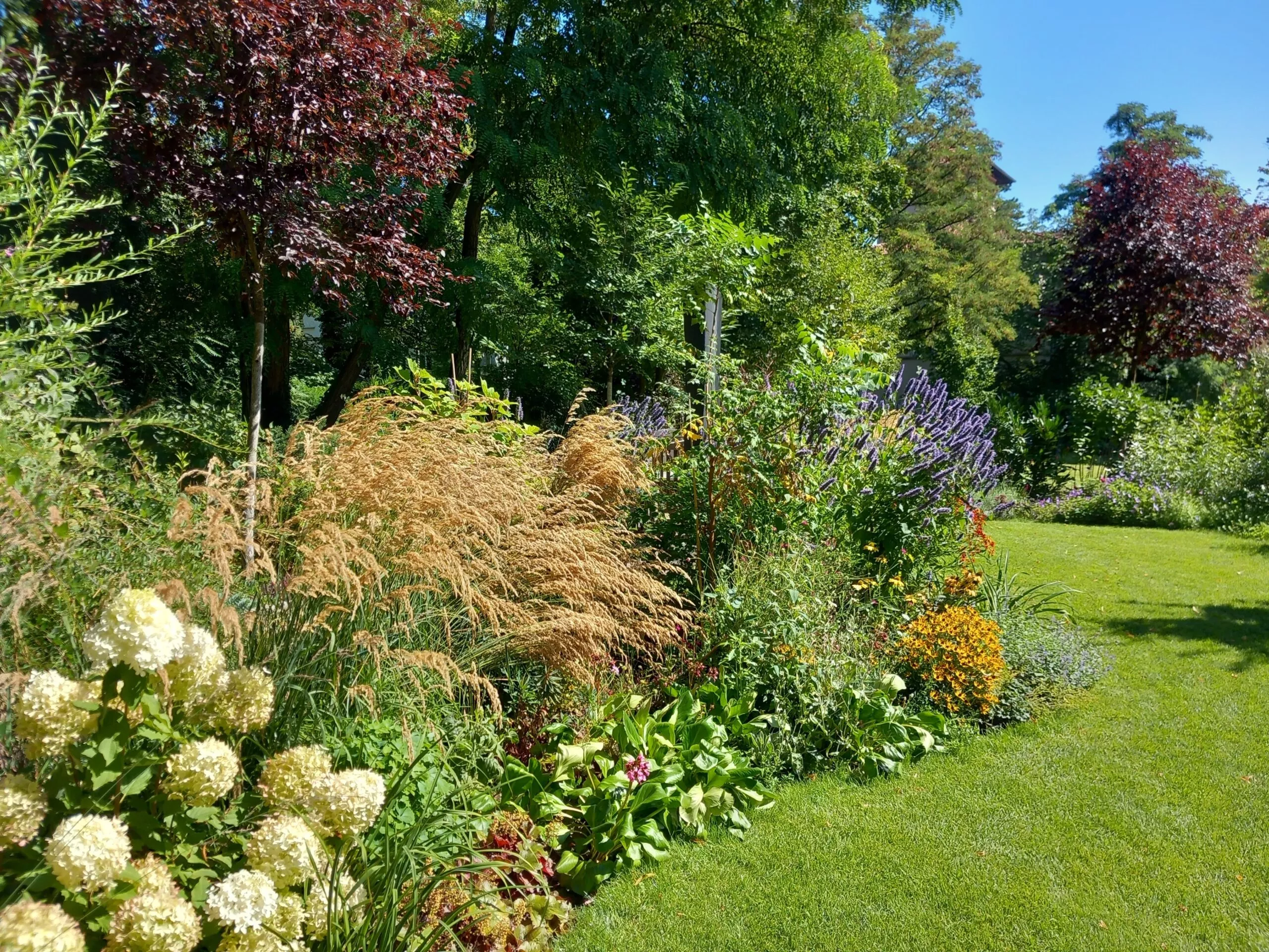 Hausgarten in Potsdam