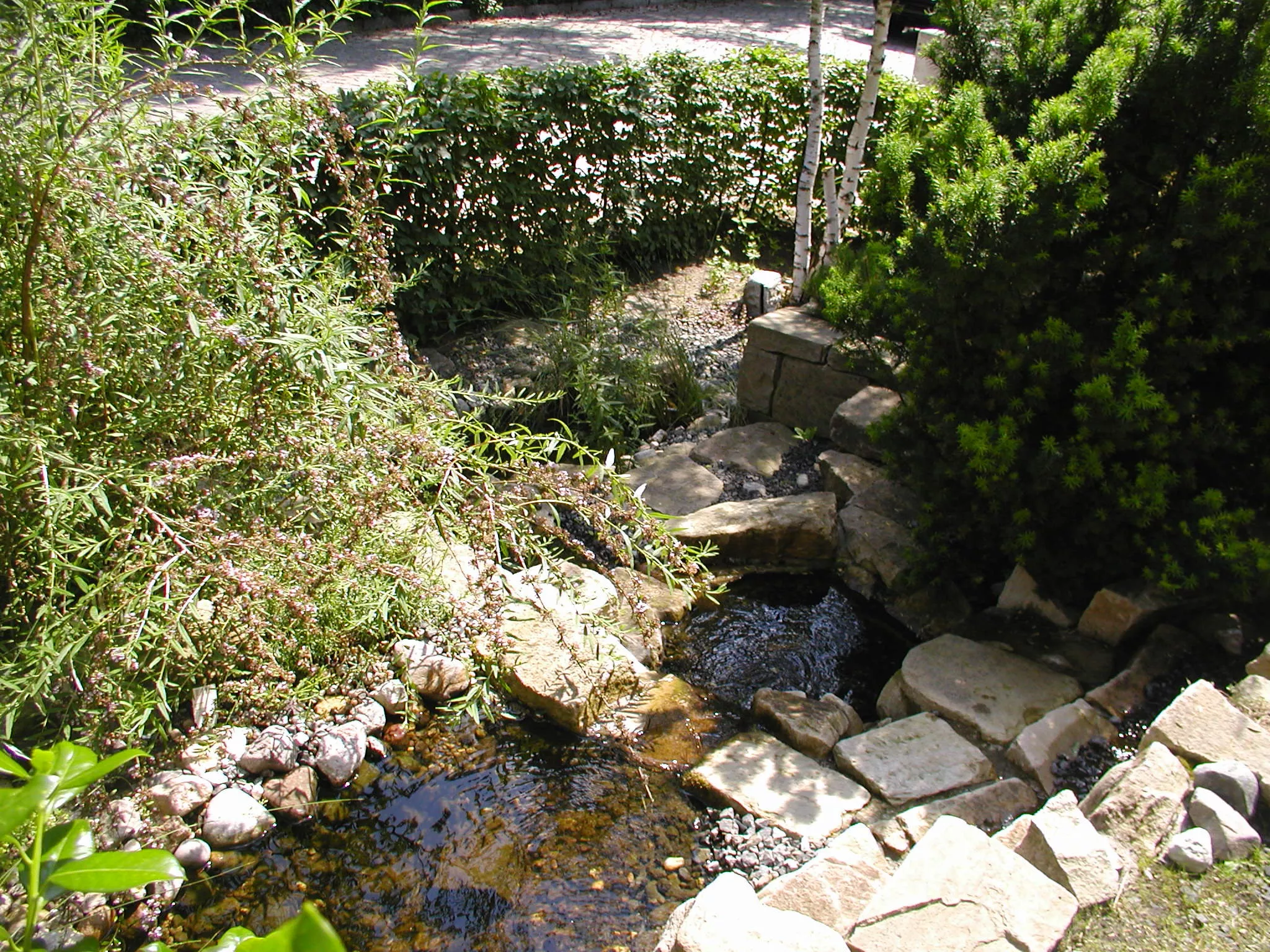 Bachlauf und Wasserfall Schlachtensee