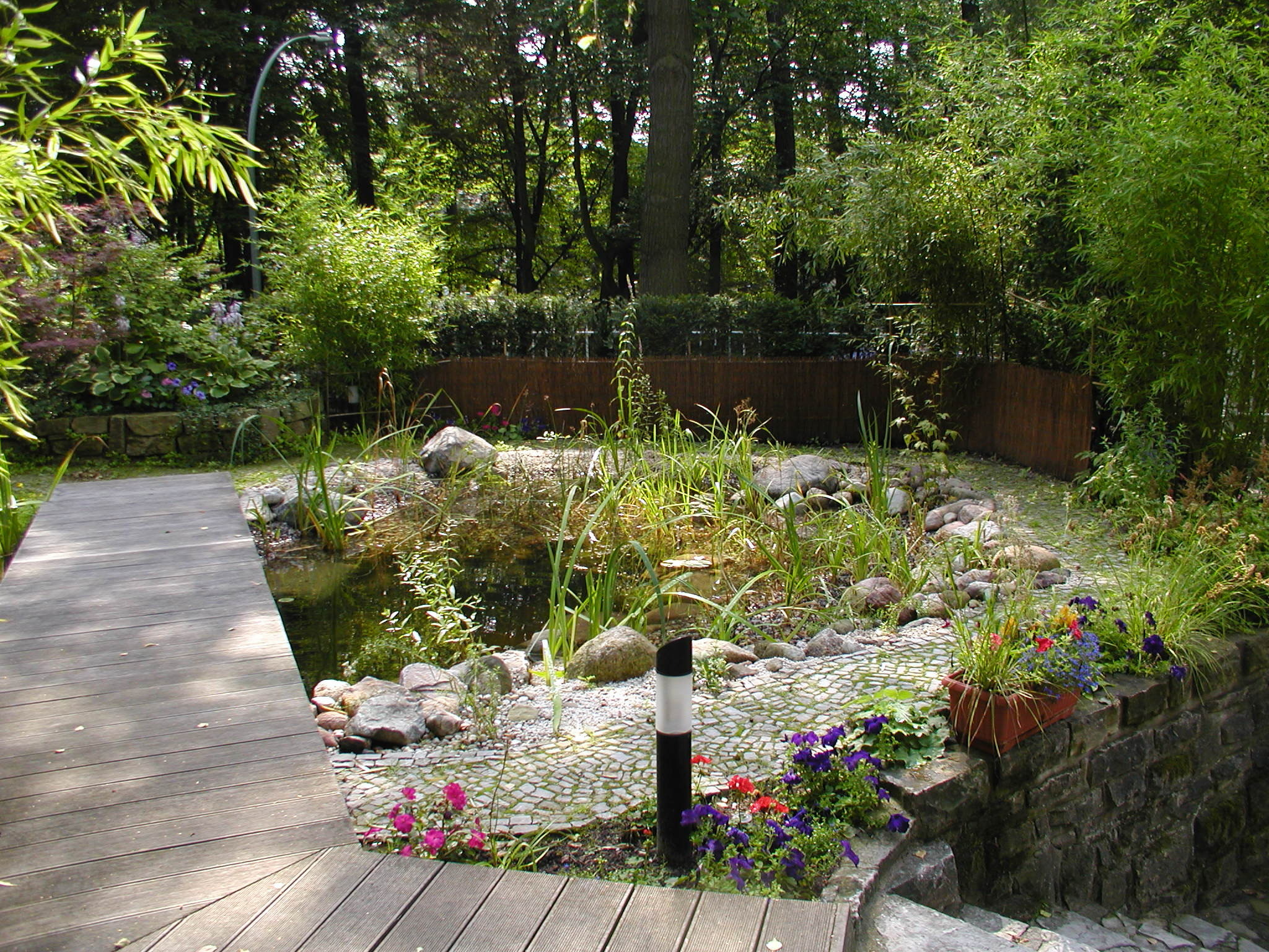 Schwimmteich in Frohnau