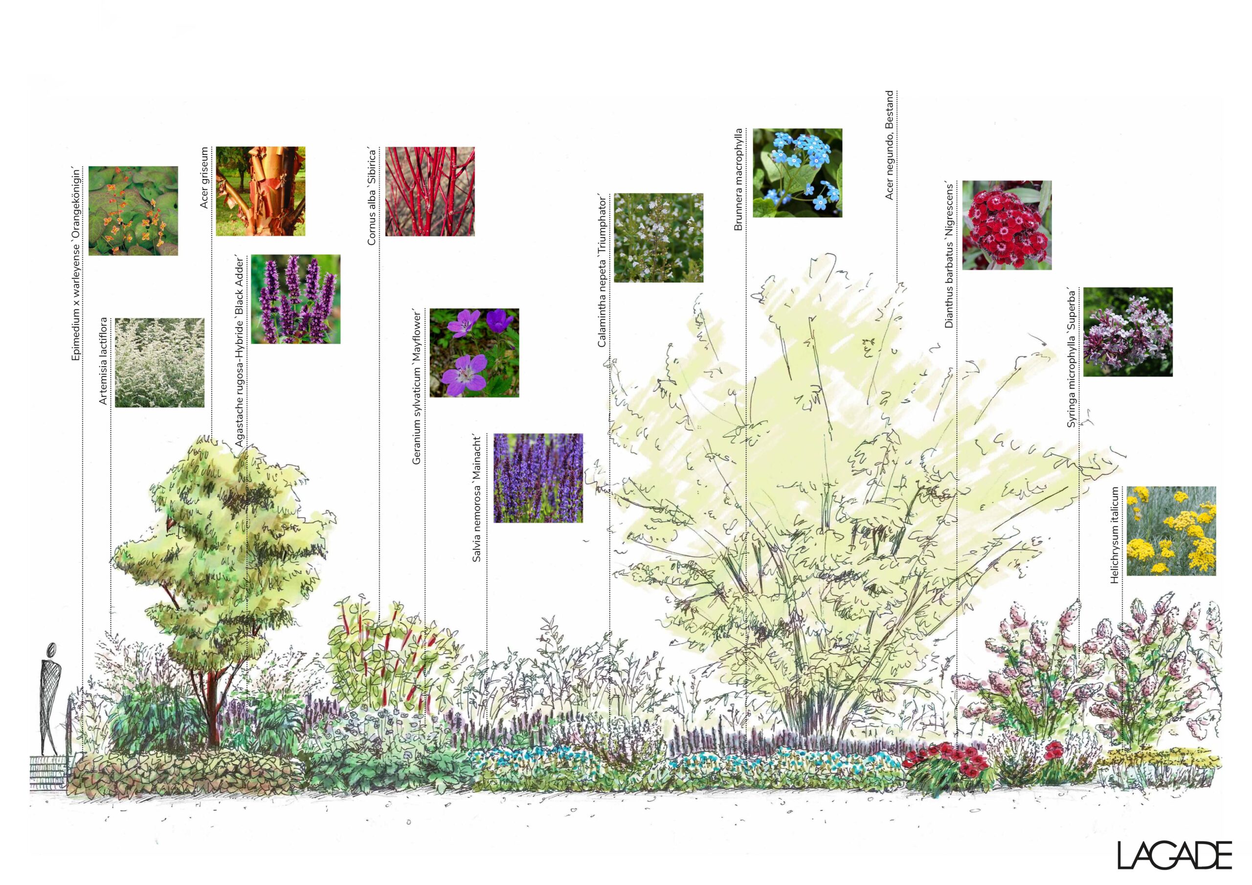 Allgemeiner Blinden- und Sehbehindertenverein Berlin