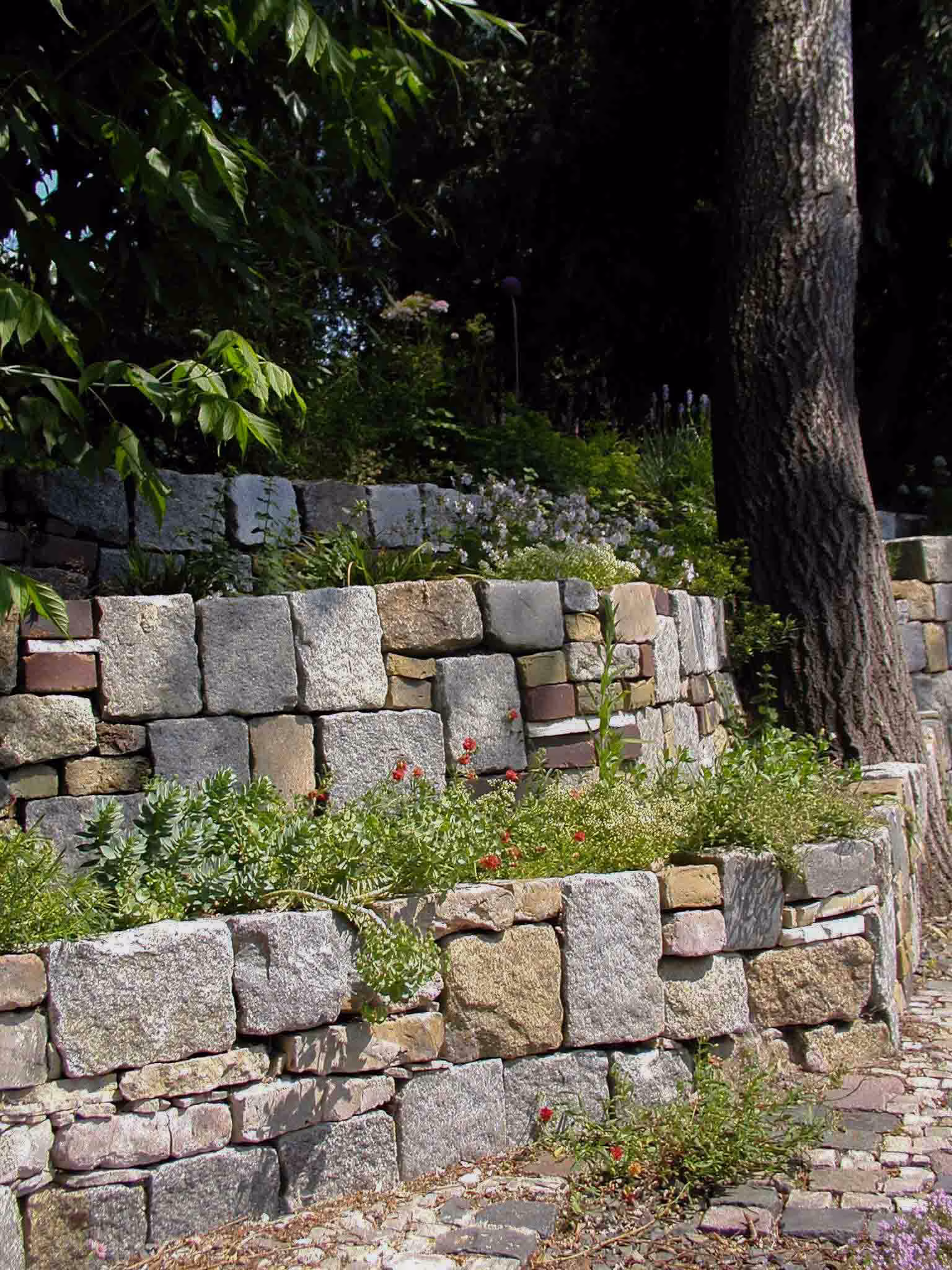 Senkgarten Lankwitz