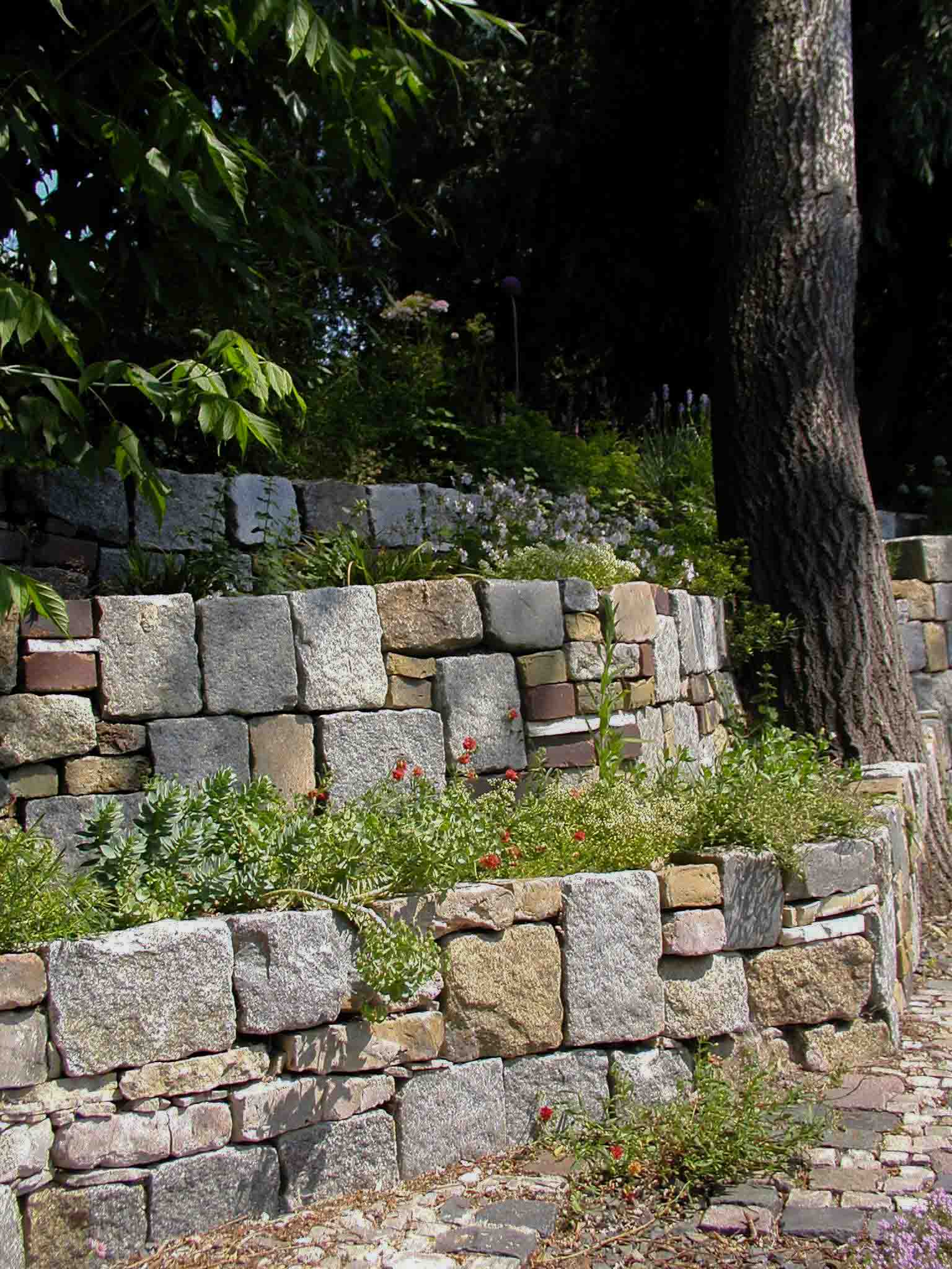 Senkgarten Berlin Lankwitz